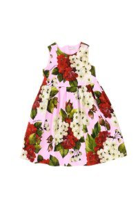 Dolce & Gabbana Dress With Floral Print
