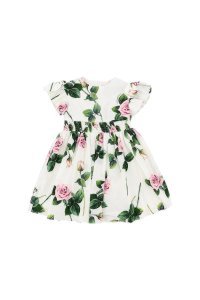 Dolce & Gabbana Tropical Rose Print Dress