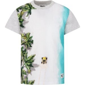 Molo Grey Boy T-shirt With Colorful Pint