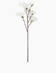 Large Single Stem Magnolia white