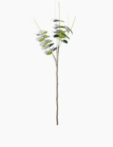 Marks & Spencer - Single stem eucalyptus green