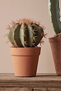 Cox & Cox Small Faux Potted Barrel Cactus -  Natural