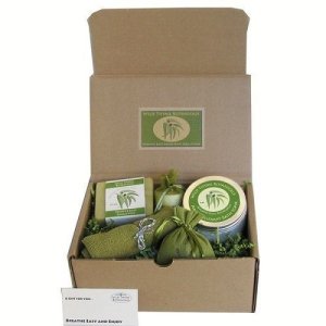 Organic Gift Basket Spa Set Eucalyptus Scented Bath Body Products Kit Healing