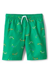 Lands' End Boys' Patterned Swim Shorts - 12-13 years, Misc