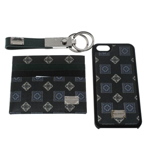 Dolce and Gabbana Green Gift Box Set (Card Holder, iPhone 5 Case and Key Holder)