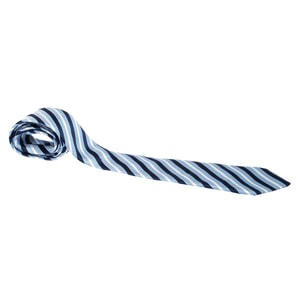 Ermenegildo Zegna Blue Striped Jacquard Silk Tie