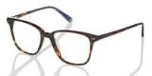 Ted Baker Ted Baker tb8144 sheldon lunettes