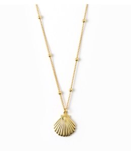 Orelia-Necklaces - Metal Shell Satellite Chain Necklace - Gold-coloured