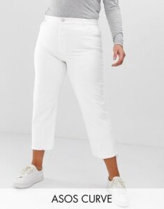 ASOS DESIGN Curve Florence authentic straight leg jeans in bone chalky white