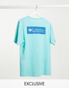 Columbia North Cascades back print t-shirt in gulf stream Exclusive at ASOS-Blue