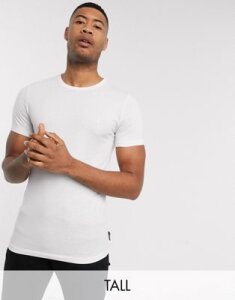 French Connection Essentials Tall t-shirt in white