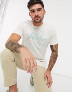 Levi's Stick Together t-shirt in beige