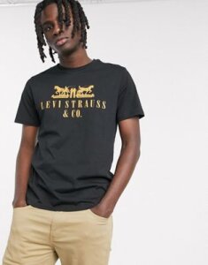 Levi's Youth 2-horse logo t-shirt in mineral black