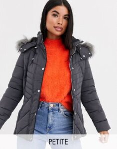 New Look Petite faux fur hood fitted puffer jacket in mid gray