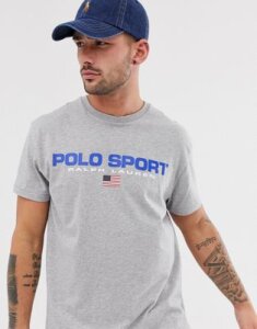 Polo Ralph Lauren retro sport capsule logo t-shirt custom regular fit in gray marl