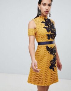 The 8th Sign Lace Skater Dress With Embroidered Detail-Yellow