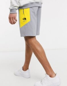 The North Face Extreme Block short in gray