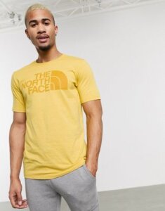 The North Face Half Dome Tri-Blend t-shirt in yellow-Cream