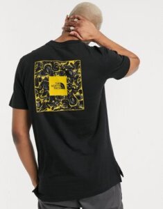 The North Face Rage graphic t-shirt in black