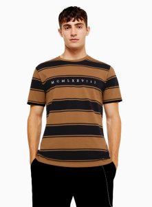 Piqué-T-Shirt mit Streifendesign, braun und schwarz, BRAUN
