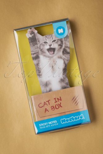 Cat In a Box Sticky Notes