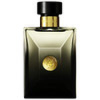 Versace Versace pour Homme Eau de Parfum (100.0 ml)