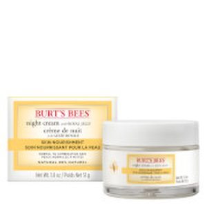 Burt's Bees Skin Nourishment crema notte 51 g