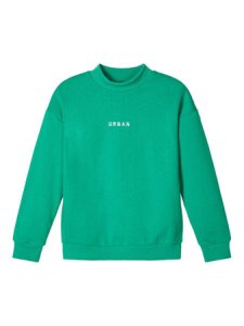 NAME IT Col Montant Broderie Sweat-shirt Men green